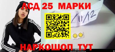 молекула духа Будённовск