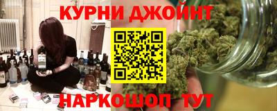 молекула духа Будённовск