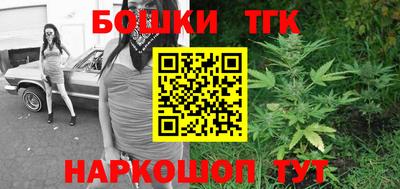 молекула духа Будённовск