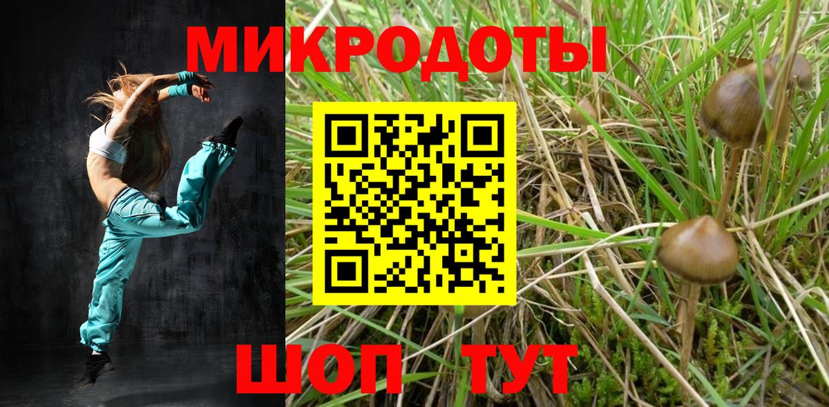 Кохма  Псилоцибиновые грибы GOLDEN TEACHER  Вход с VPN  Галлюциногенные грибы мицелий 