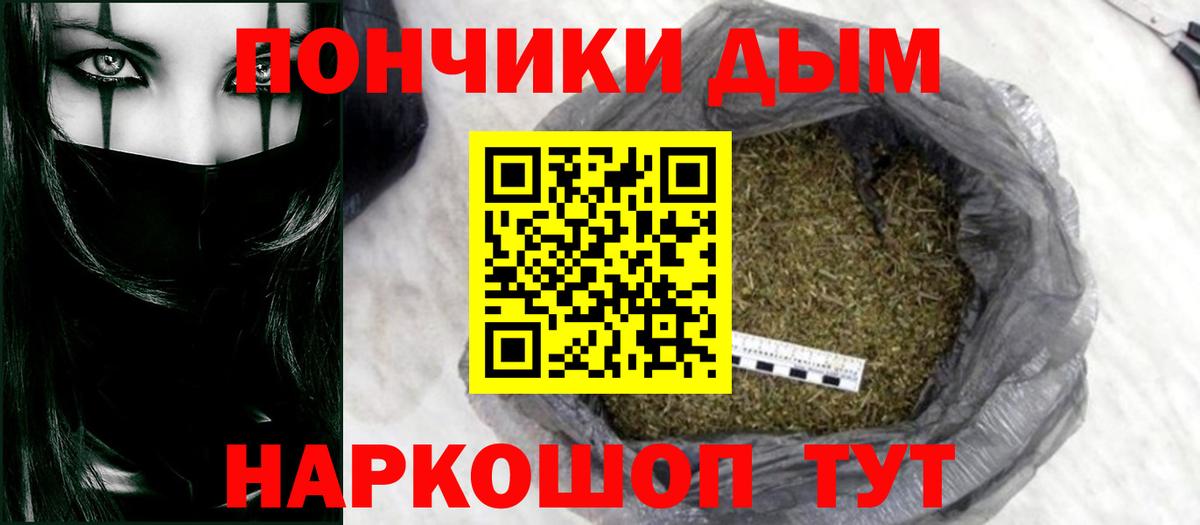 Конопля планчик Кохма